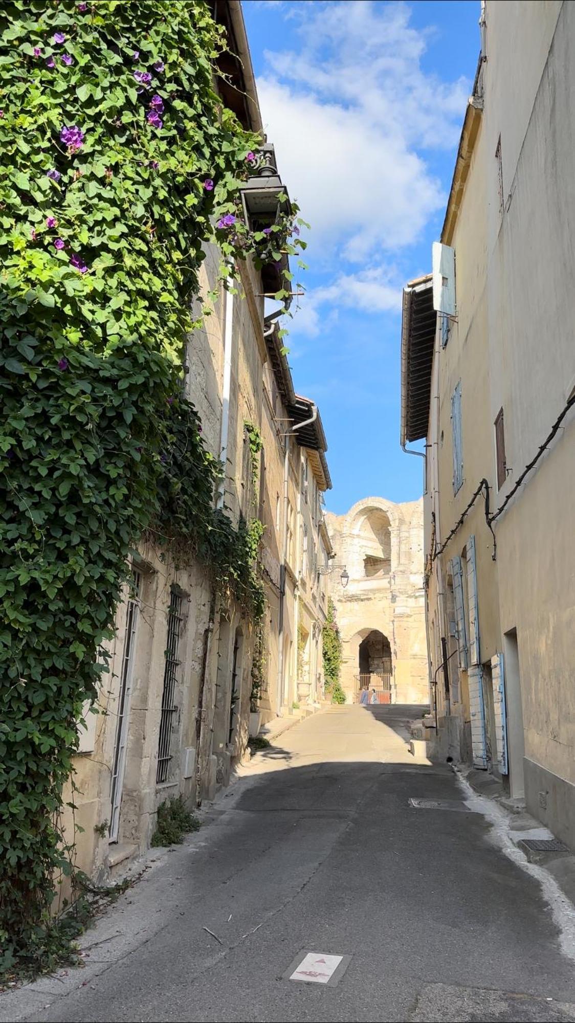 La Maison Des Hautures Arles Exterior photo